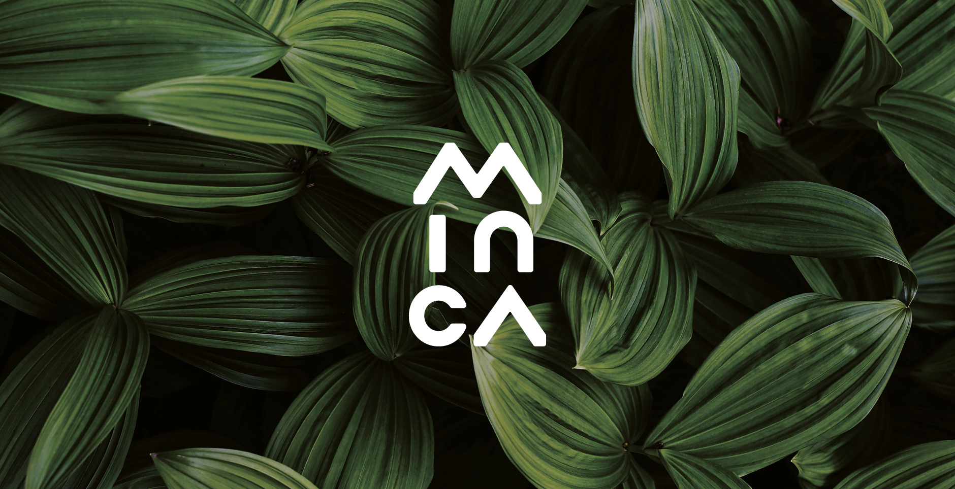 Minca_case_study Minca_case_study