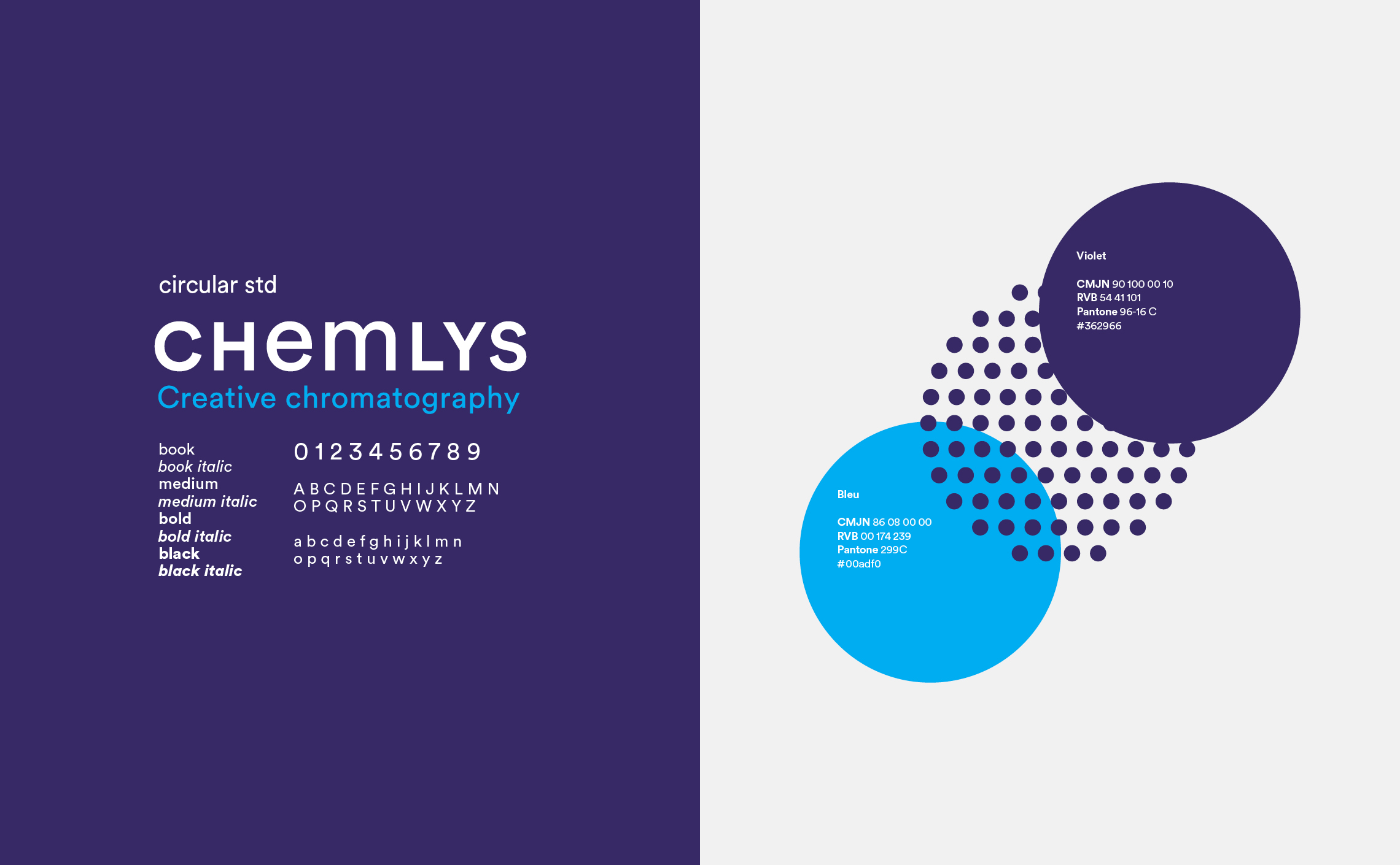 chemlys-chromatographie-brand-identity-typography-color chemlys-chromatographie-brand-identity-typography-color