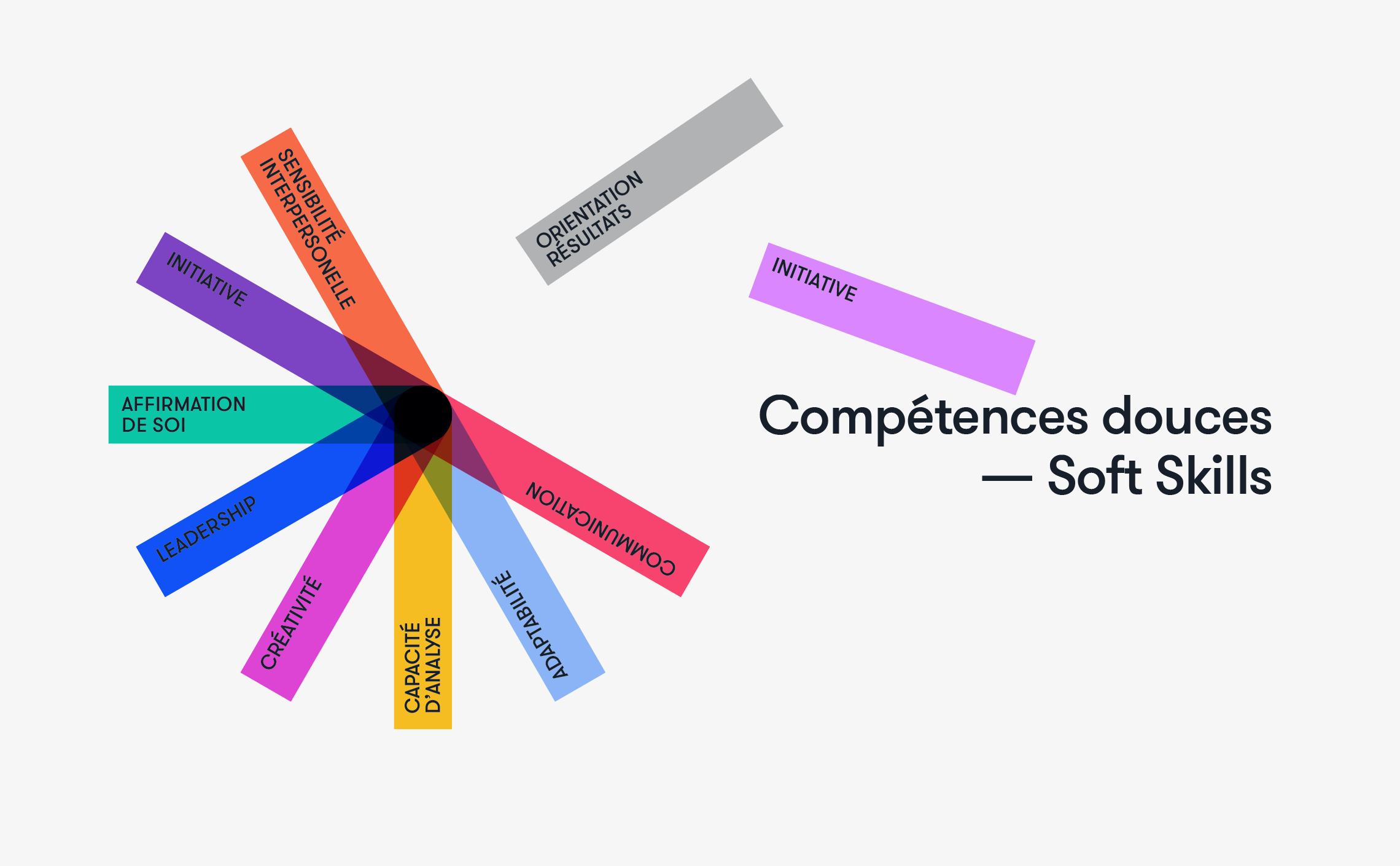 04-Logo-so-skilled-universite-competences-douces