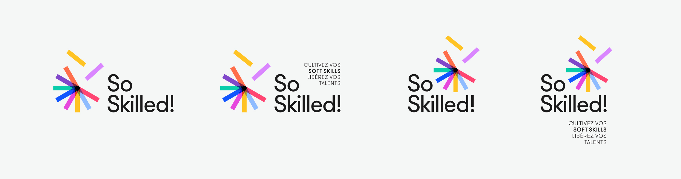 08-Logo-so-skilled-universite-formation-compositions
