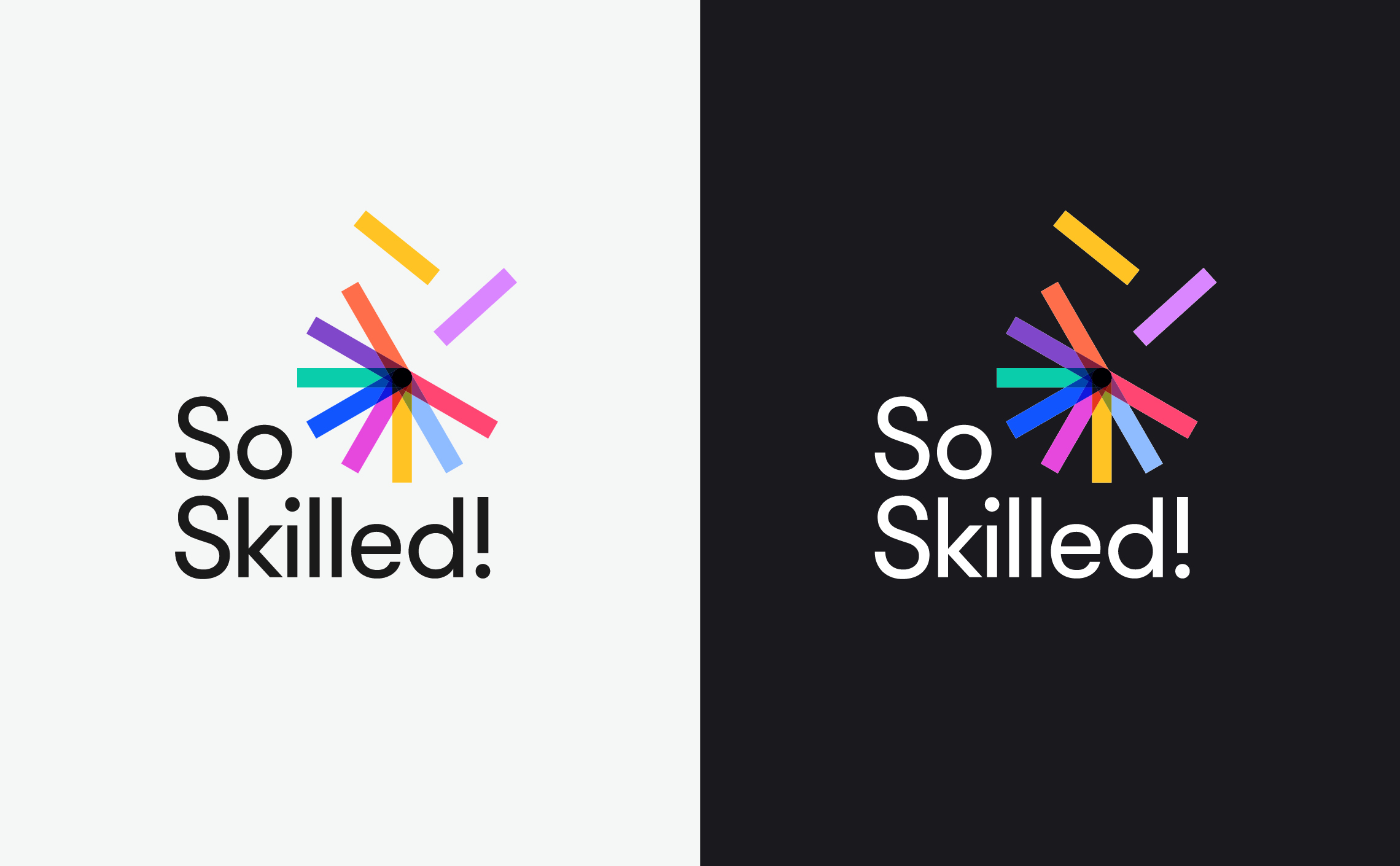 09-Logo-so-skilled-universite-formation-positif-negatif