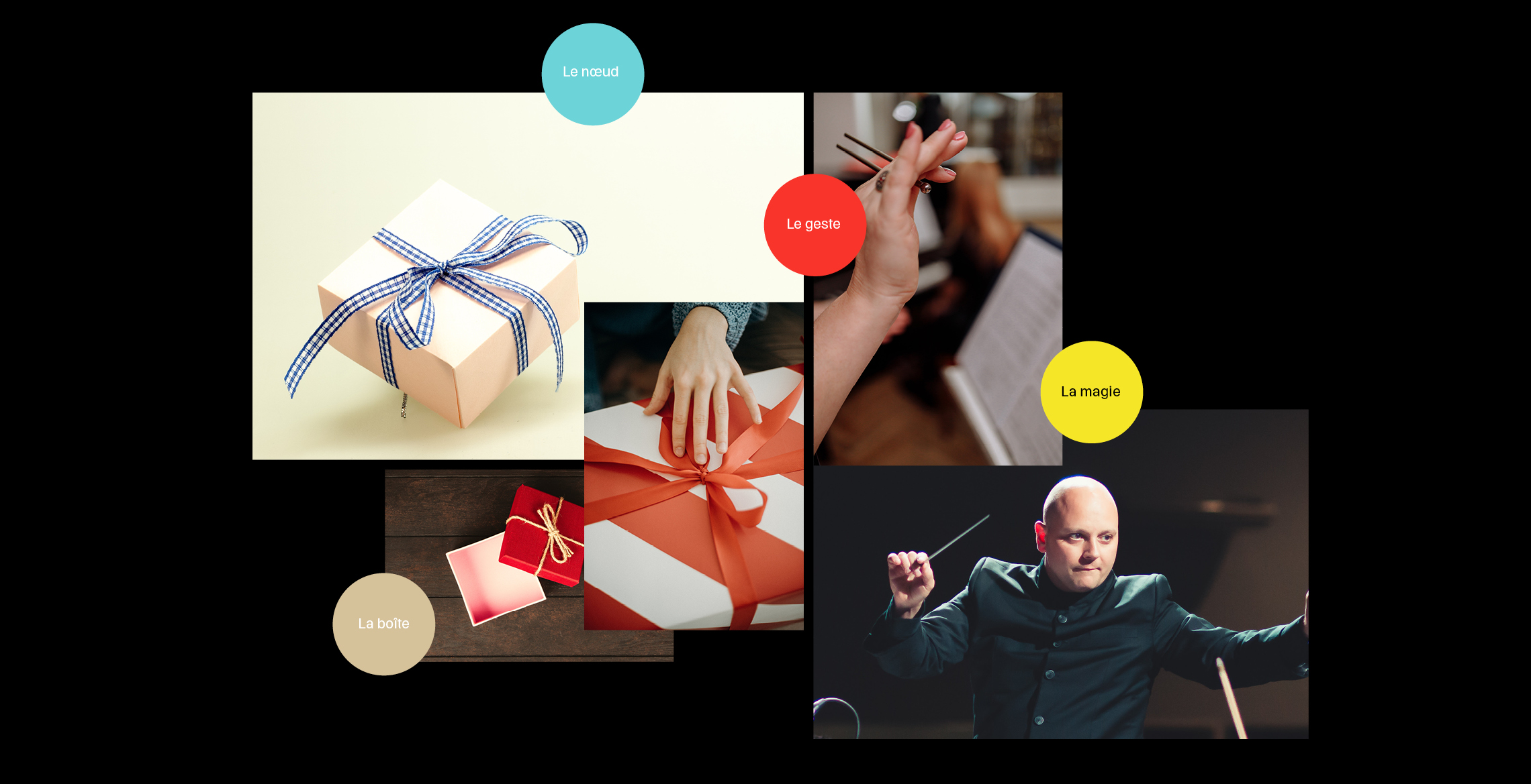 CadoMaestro_Brand_design2