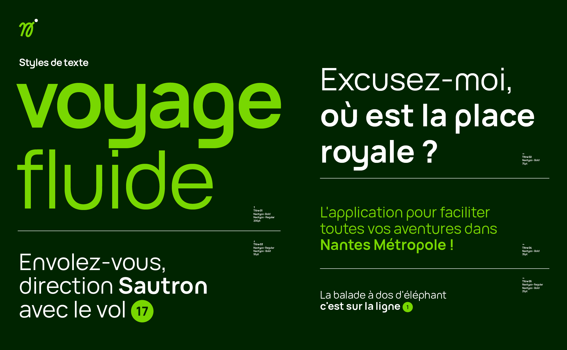 13-Naolib-identity-typography