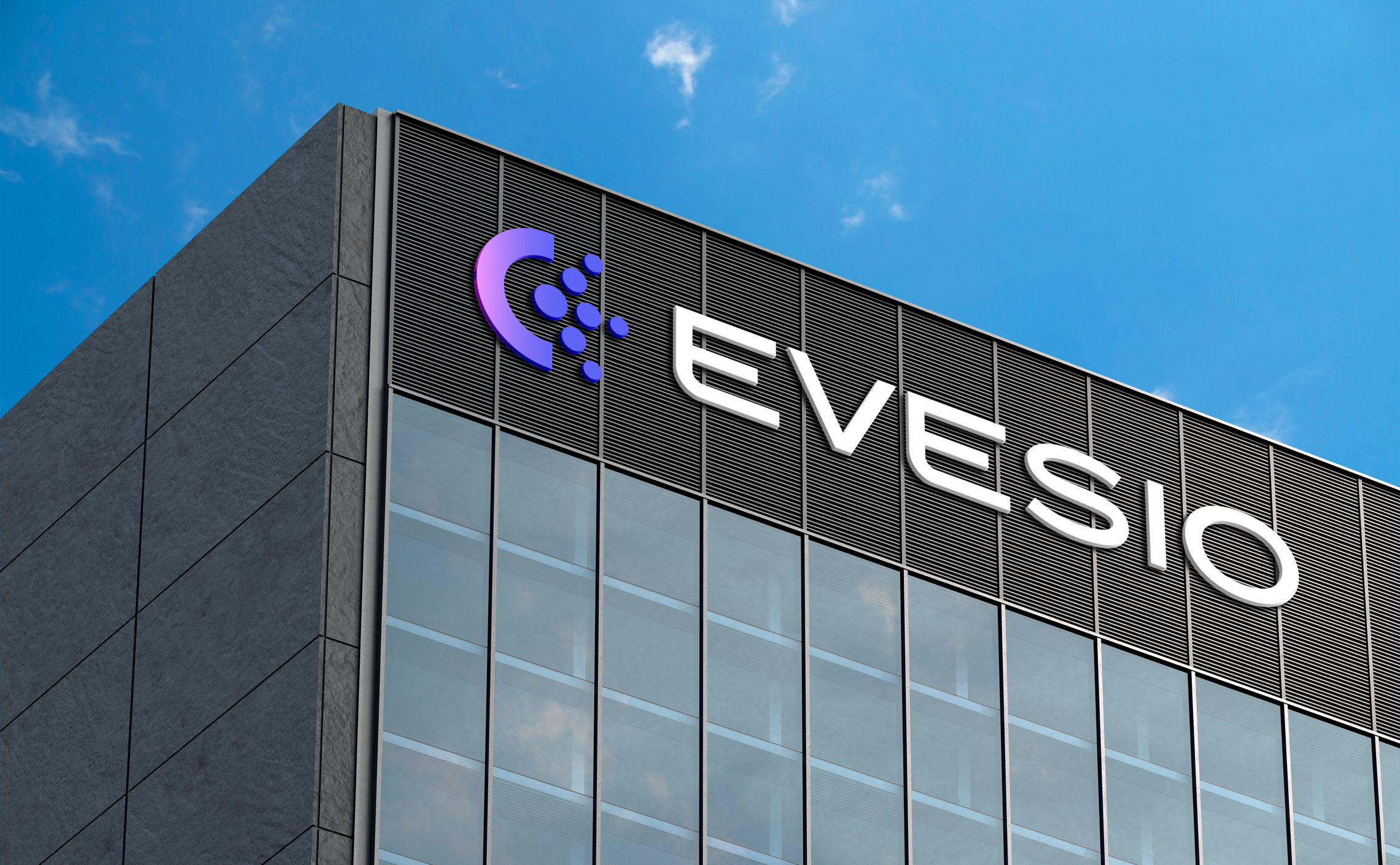 Evesio-Visual-Identity-Naming23