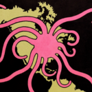 Article_pieuvre_vignette