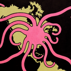 Article_pieuvre_vignette