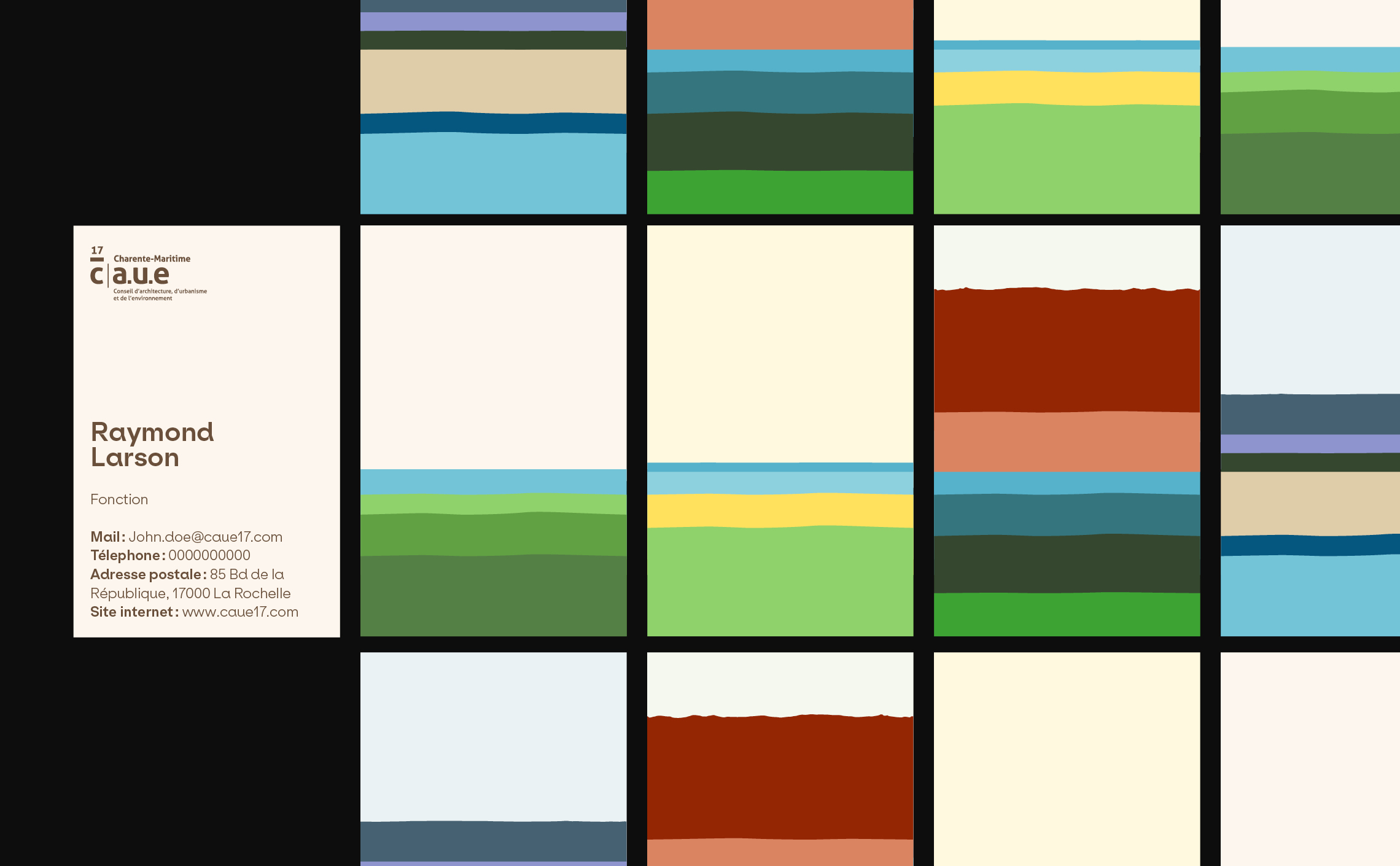 32-charte-graphique-CAUE17-charente-cartedevisite-design-identitevisuelle