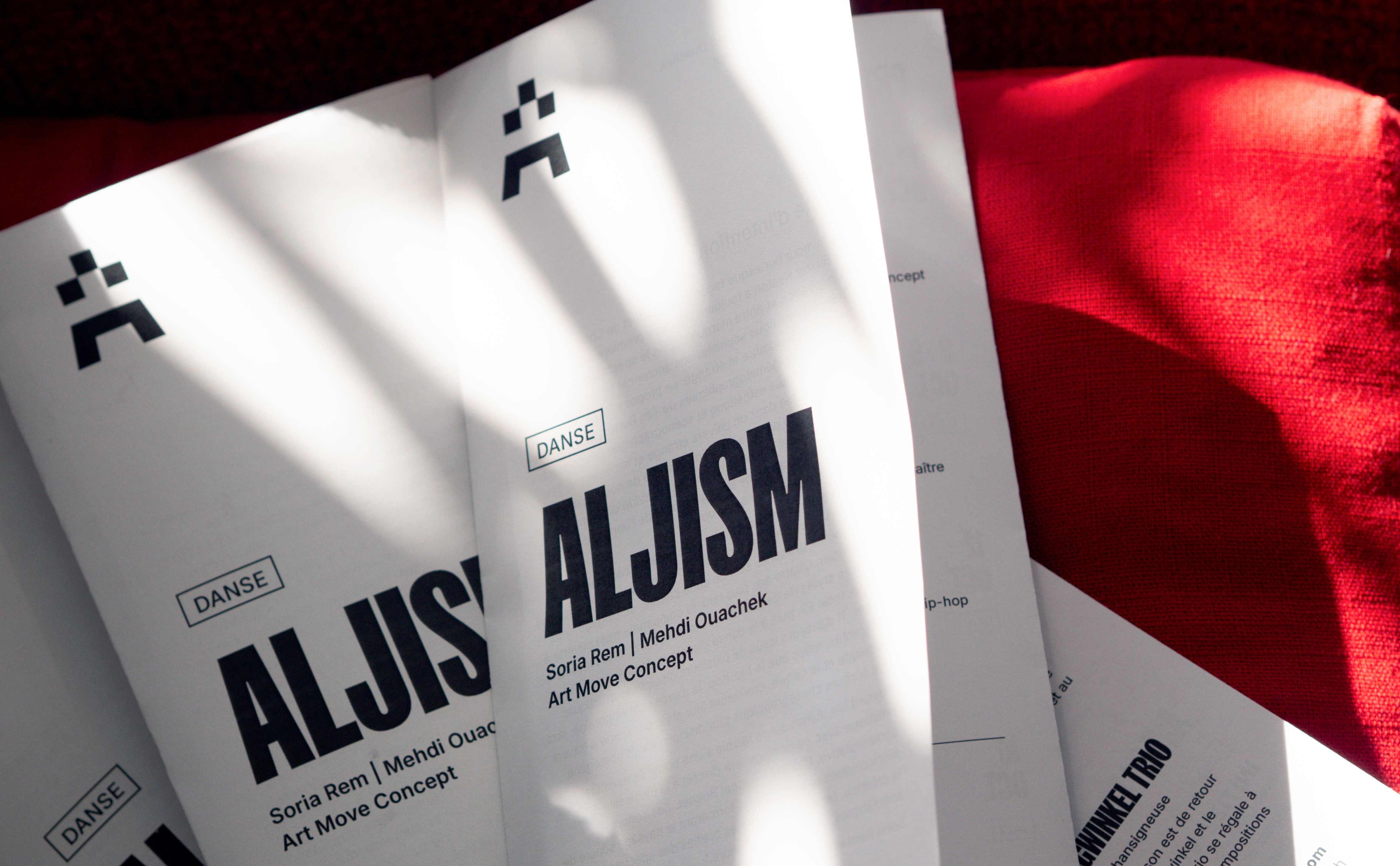 Theatre-Senart-Identite-Visuelle18