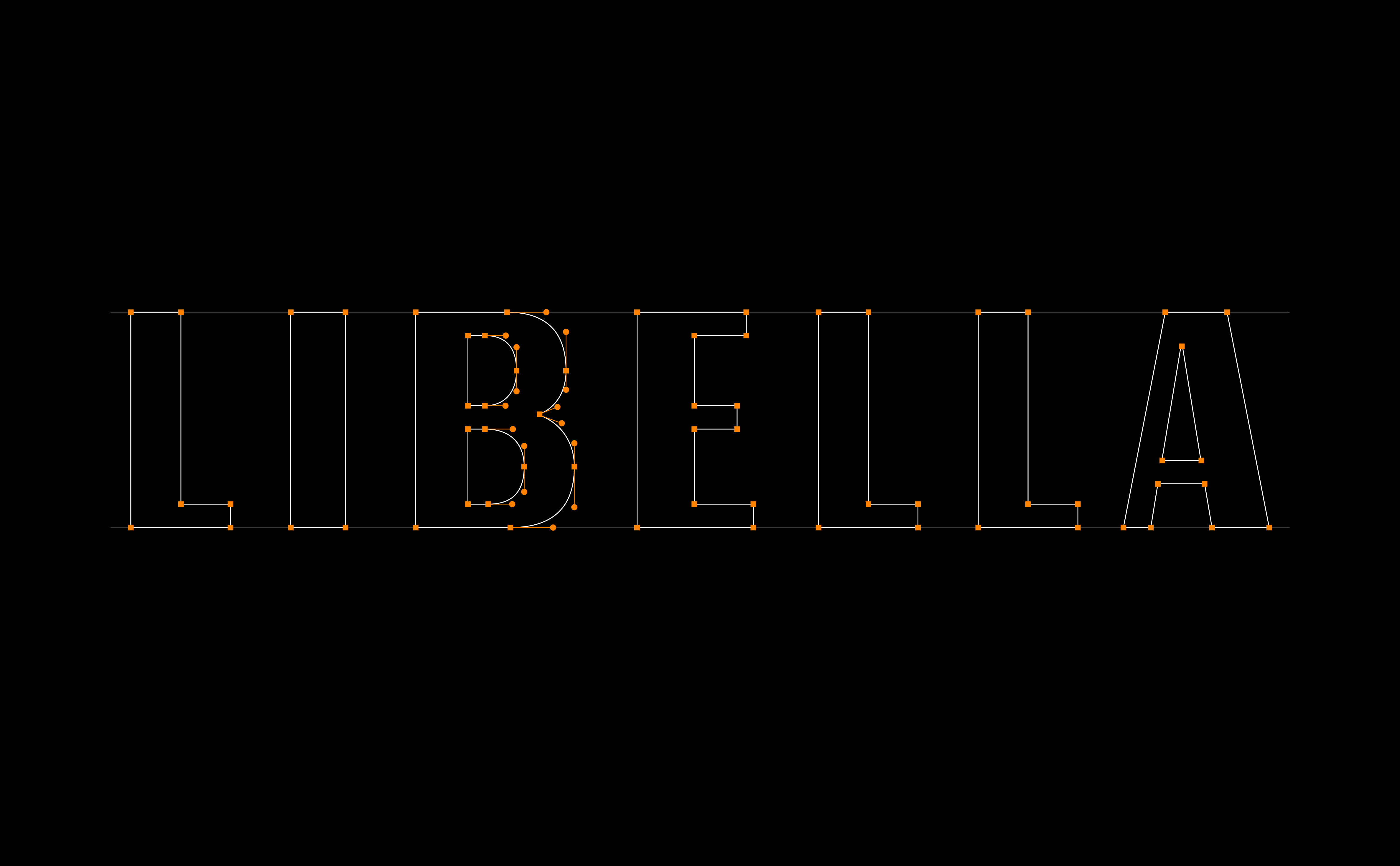 Case_Study_Libella10