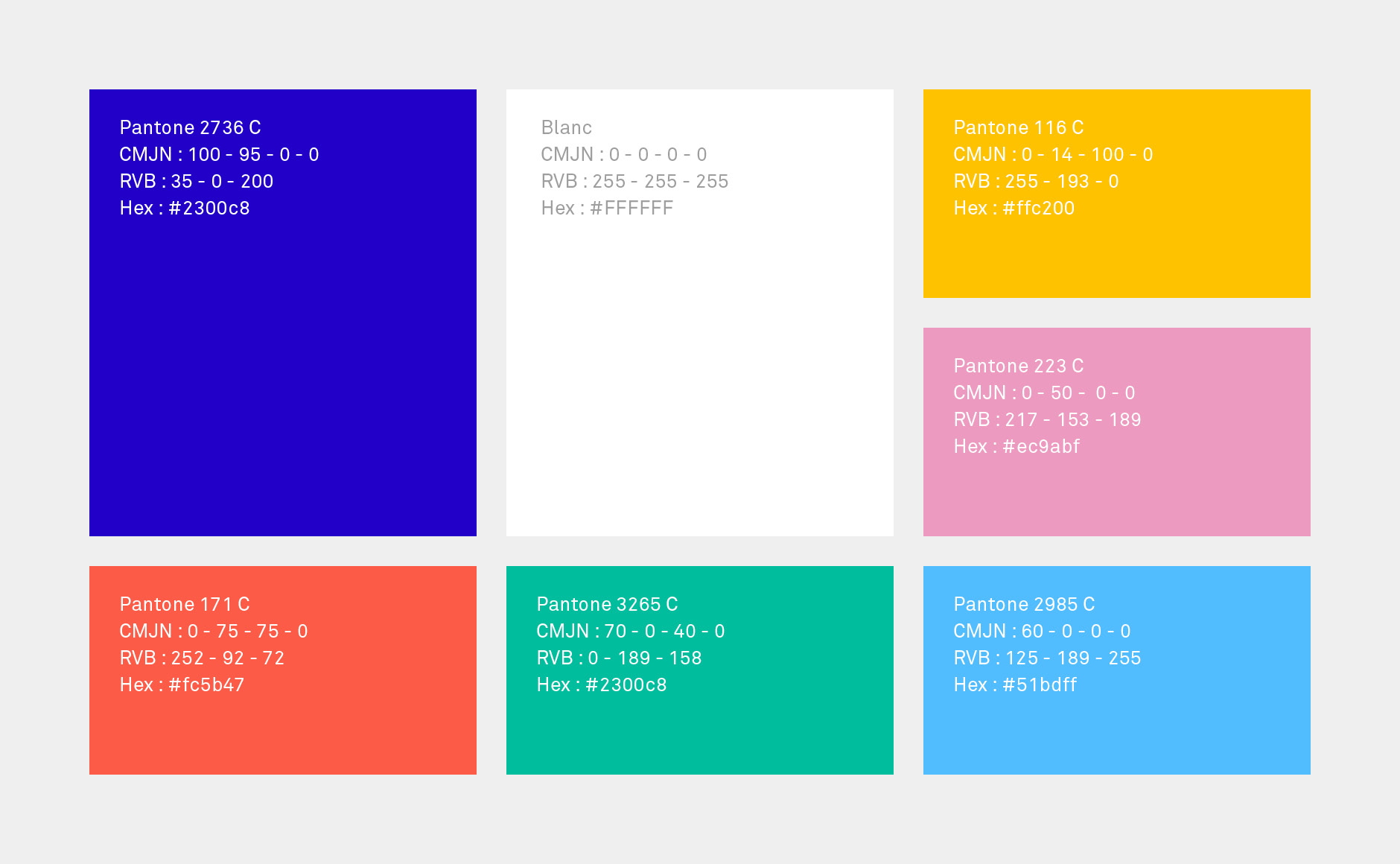 Identite-logo-Ville-de-Nevers10 gamme de couleur charte graphique